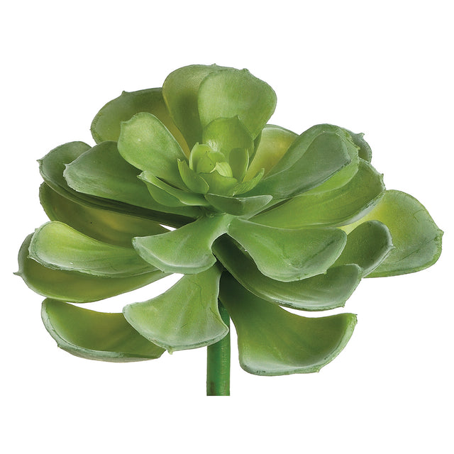 Echeveria, rosette, succulent, artificial flowers, silk flowers, home decor, modern, contemporary