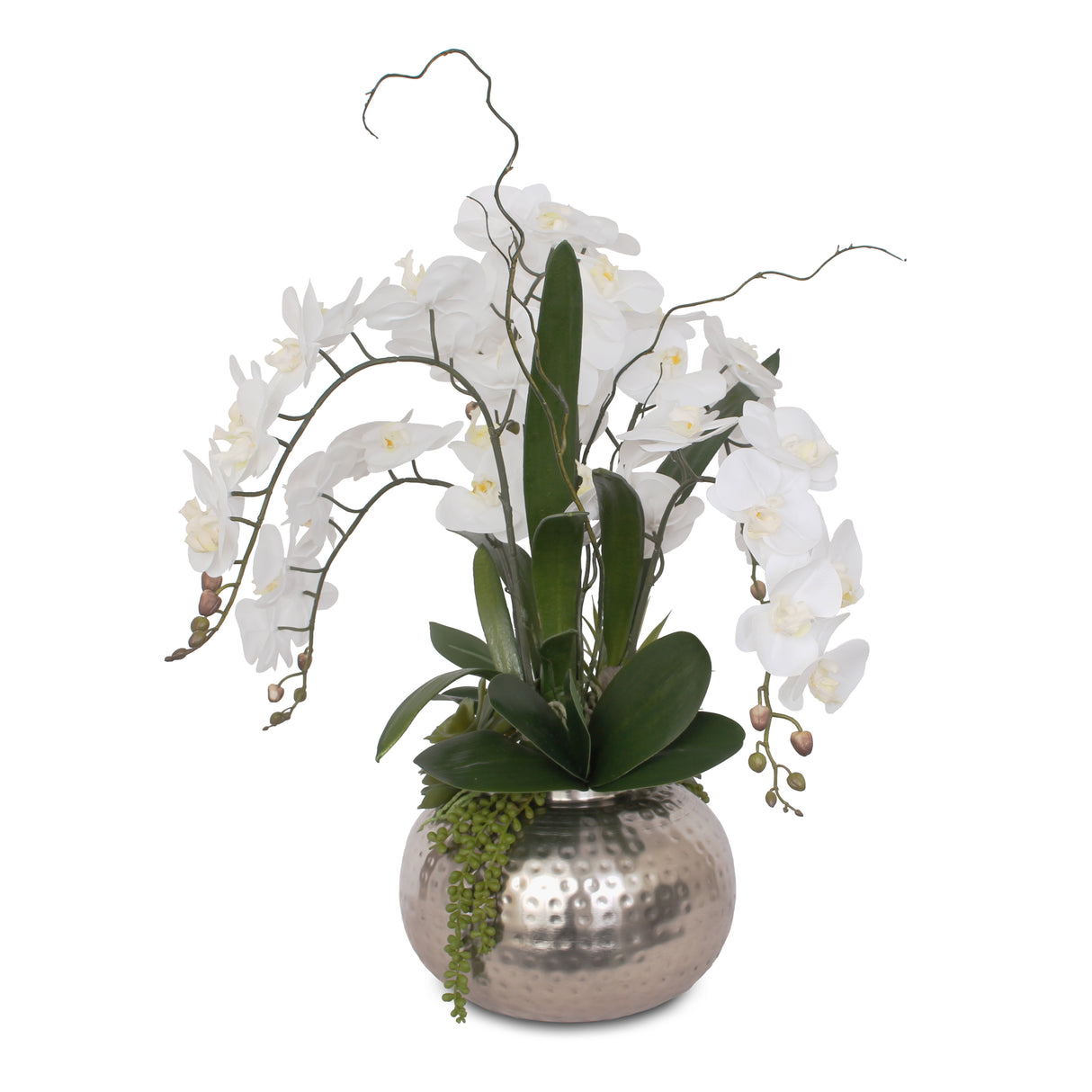 Real Touch White Phalaenopsis Orchids and Leaves with String of Pearls Succulents Table Arrangement in Ball Pot #F-105