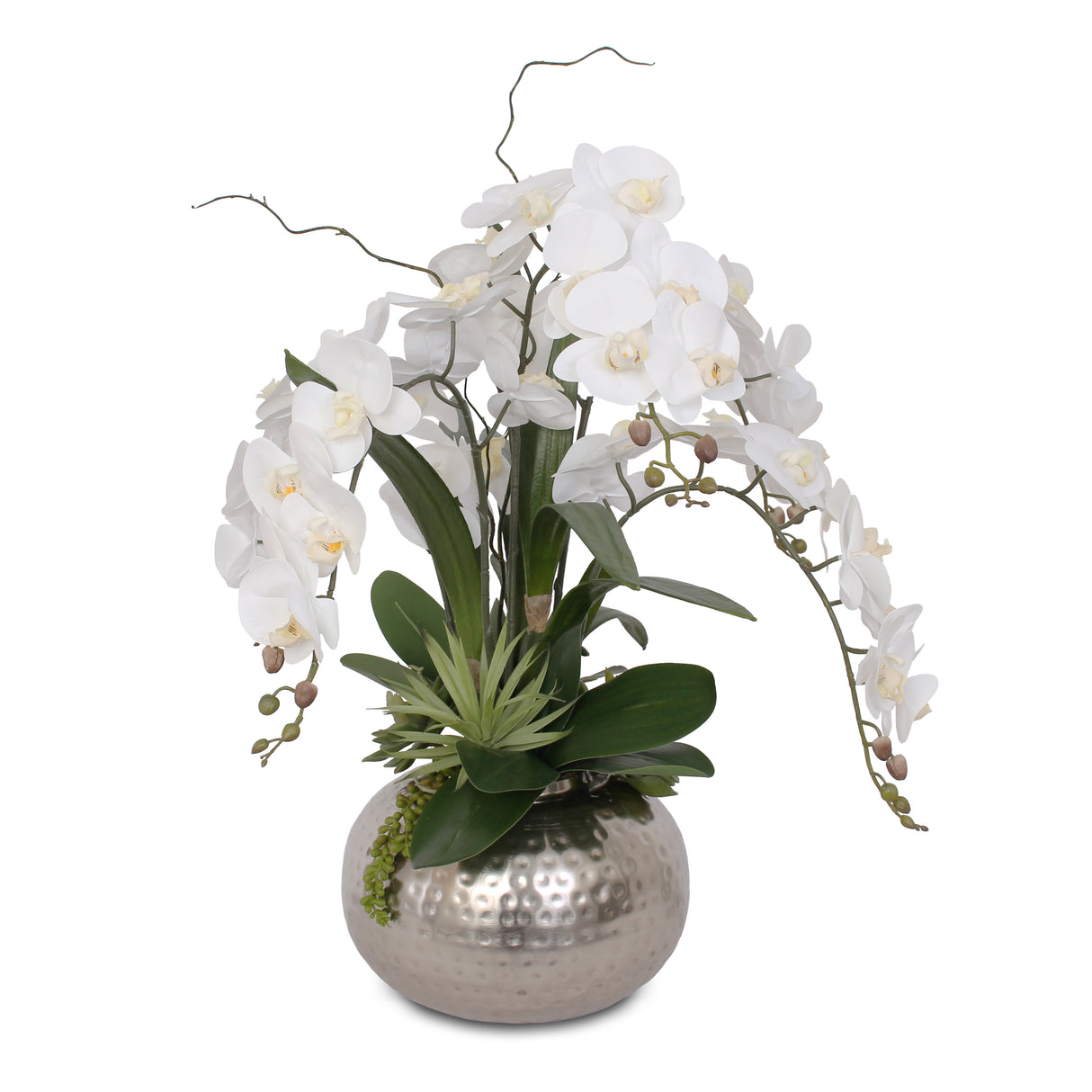 Real Touch White Phalaenopsis Orchids and Leaves with String of Pearls Succulents Table Arrangement in Ball Pot #F-105