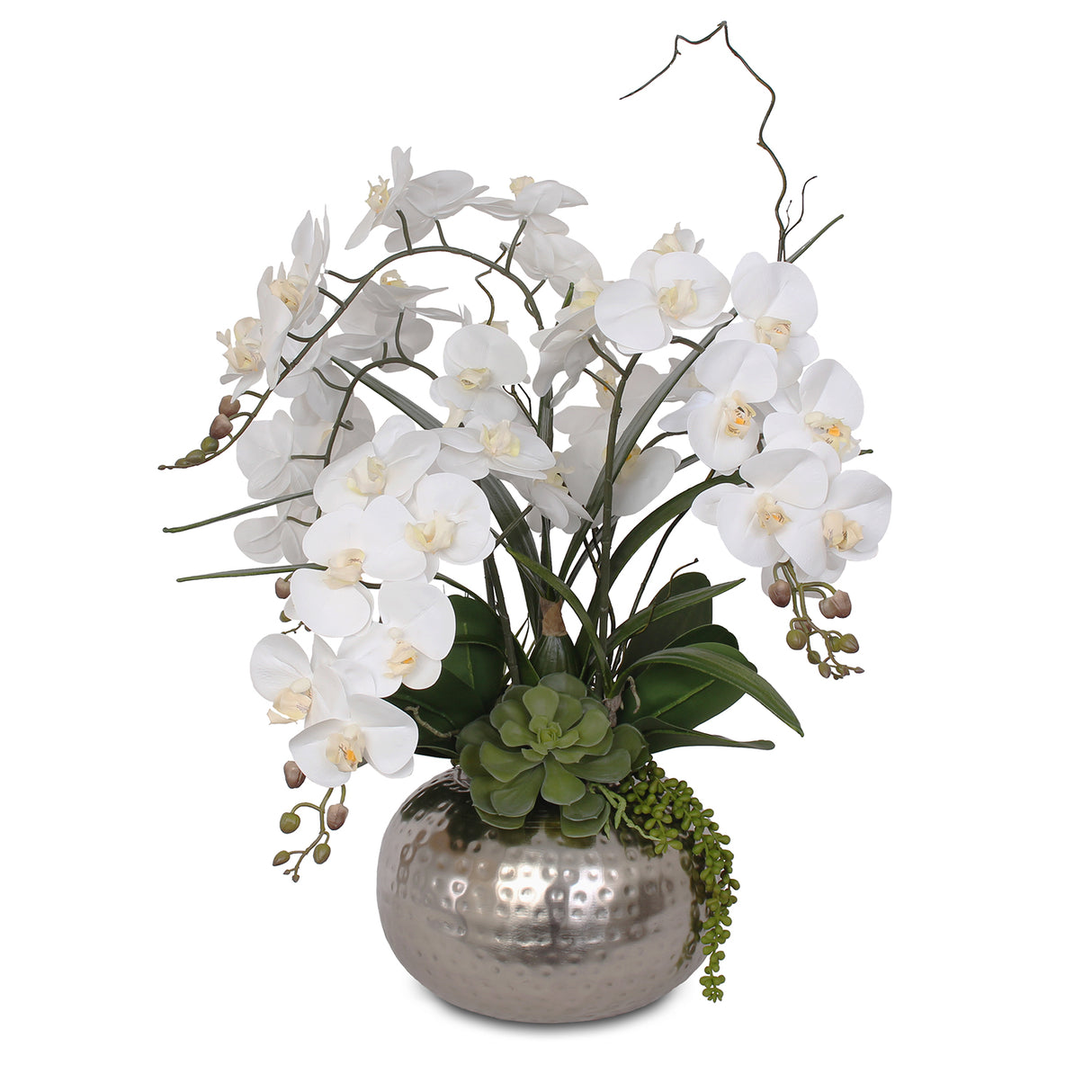 Real Touch White Phalaenopsis Orchids and Leaves with String of Pearls Succulents Table Arrangement in Ball Pot #F-105