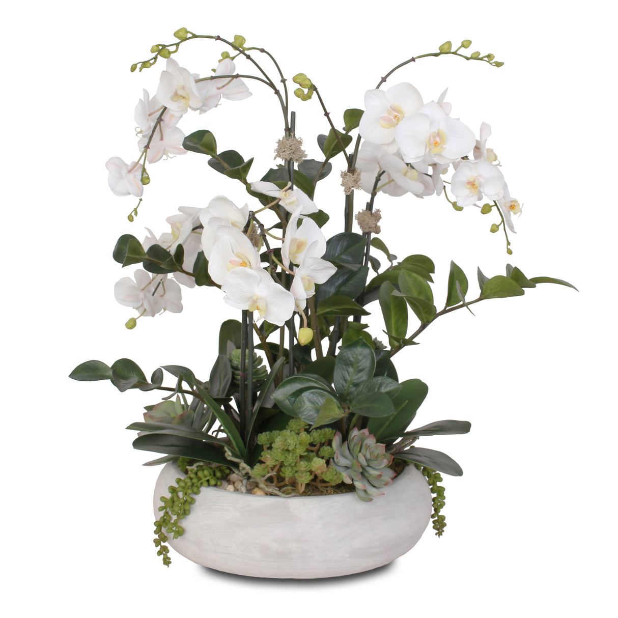 Stunning Two Tone White Silk Phalaenopsis Orchids with Succulents and Silk ZZ Plant in Wash Stone Round Pot #F-106