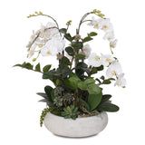 Stunning Two Tone White Silk Phalaenopsis Orchids with Succulents and Silk ZZ Plant in Wash Stone Round Pot #F-106