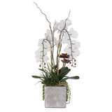 Real Touch Orchids with Succulents Flower Arrangement in Square Stone Pot #F-117