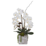 Real Touch Orchids with Succulents Flower Arrangement in Square Stone Pot #F-117