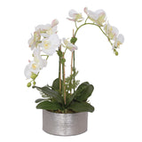 Jenny Silks Real Touch White/Pink accent Phalaenopsis Orchids with Ferns Flower Arrangement #F-119