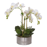 Jenny Silks Real Touch White/Pink accent Phalaenopsis Orchids with Ferns Flower Arrangement #F-119