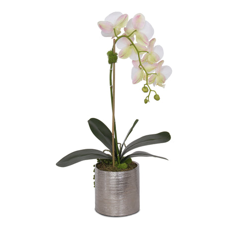 Jenny Silks Real Touch White Phalaenopsis Orchid with Succulent Flower Arrangement in Round Cylinder Silver Etched Ceramic Pot #F-122