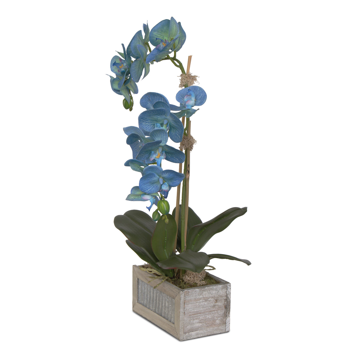 Jenny Silks Real Touch Blue Phalaenopsis Orchids Flower Arrangement in  Rectangular Metal Gray Wood Pot #F-125