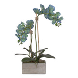 Jenny Silks Real Touch Blue Phalaenopsis Orchids Flower Arrangement in  Rectangular Metal Gray Wood Pot #F-125