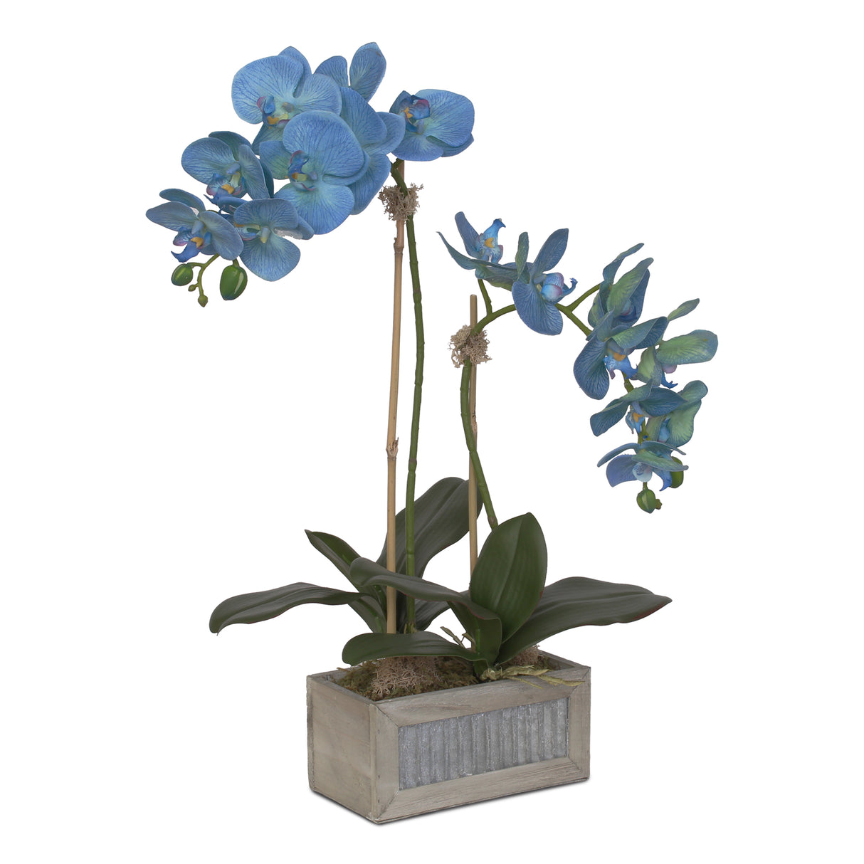 Jenny Silks Real Touch Blue Phalaenopsis Orchids Flower Arrangement in  Rectangular Metal Gray Wood Pot #F-125