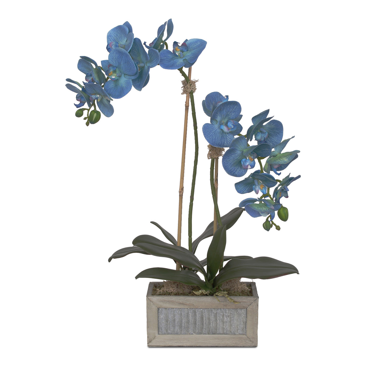 Jenny Silks Real Touch Blue Phalaenopsis Orchids Flower Arrangement in  Rectangular Metal Gray Wood Pot #F-125