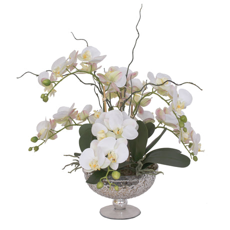 Real Touch White Phalaenopsis Orchids Flower Arrangement in Glass Pedestal Bowl #F-129