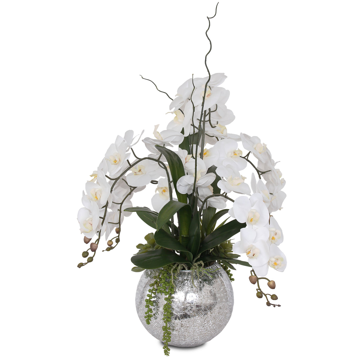 Real Touch White Phalaenopsis  Orchids and Succulents Flower Arrangement in Round Sliver Glass Ball #F-134