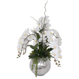 Real Touch White Phalaenopsis  Orchids and Succulents Flower Arrangement in Round Sliver Glass Ball #F-134