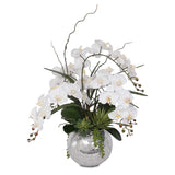 Real Touch White Phalaenopsis  Orchids and Succulents Flower Arrangement in Round Sliver Glass Ball #F-134