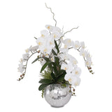 Real Touch White Phalaenopsis  Orchids and Succulents Flower Arrangement in Round Sliver Glass Ball #F-134