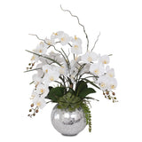 Real Touch White Phalaenopsis  Orchids and Succulents Flower Arrangement in Round Sliver Glass Ball #F-134