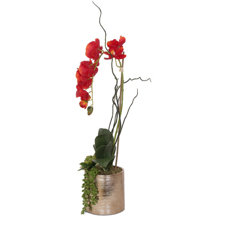 Jenny Silks Real Touch Red Phalaenopsis Orchid, Succulent and Curly Willow Flower Arrangement#F-140