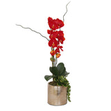 Jenny Silks Real Touch Red Phalaenopsis Orchid, Succulent and Curly Willow Flower Arrangement#F-140