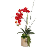 Jenny Silks Real Touch Red Phalaenopsis Orchid, Succulent and Curly Willow Flower Arrangement#F-140