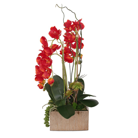 Real Touch Red Phalaenopsis Orchids, Succulents and Curly Willow Flower Arrangement#F-141
