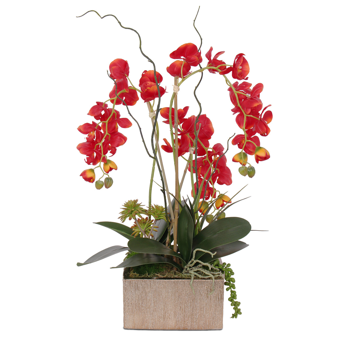 Real Touch Red Phalaenopsis Orchids, Succulents and Curly Willow Flower Arrangement#F-141