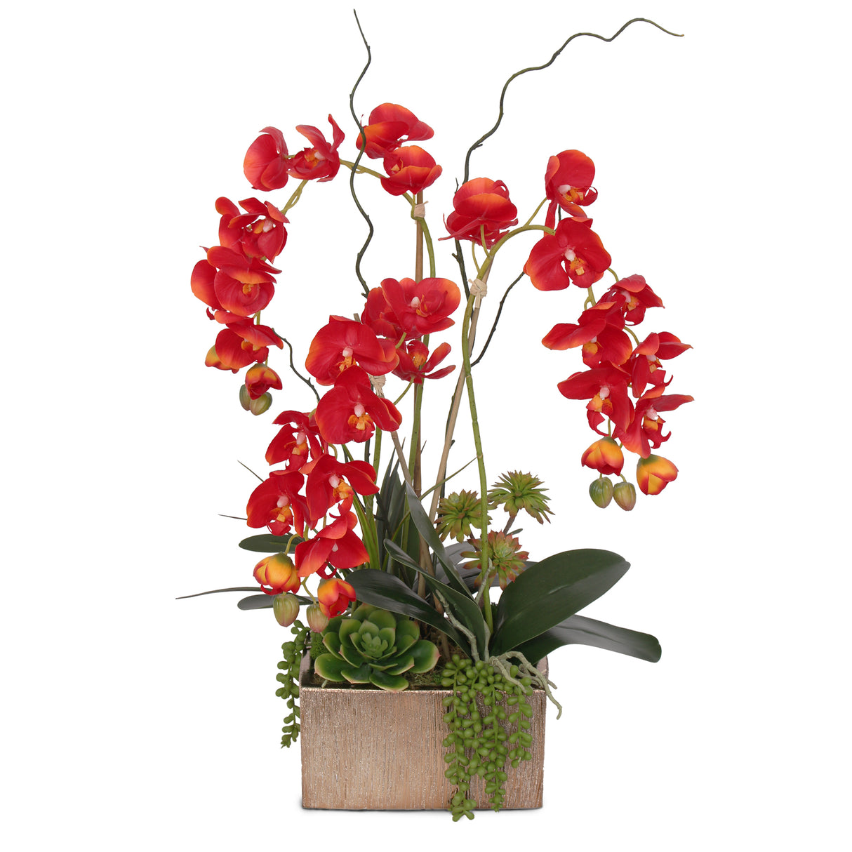 Real Touch Red Phalaenopsis Orchids, Succulents and Curly Willow Flower Arrangement#F-141