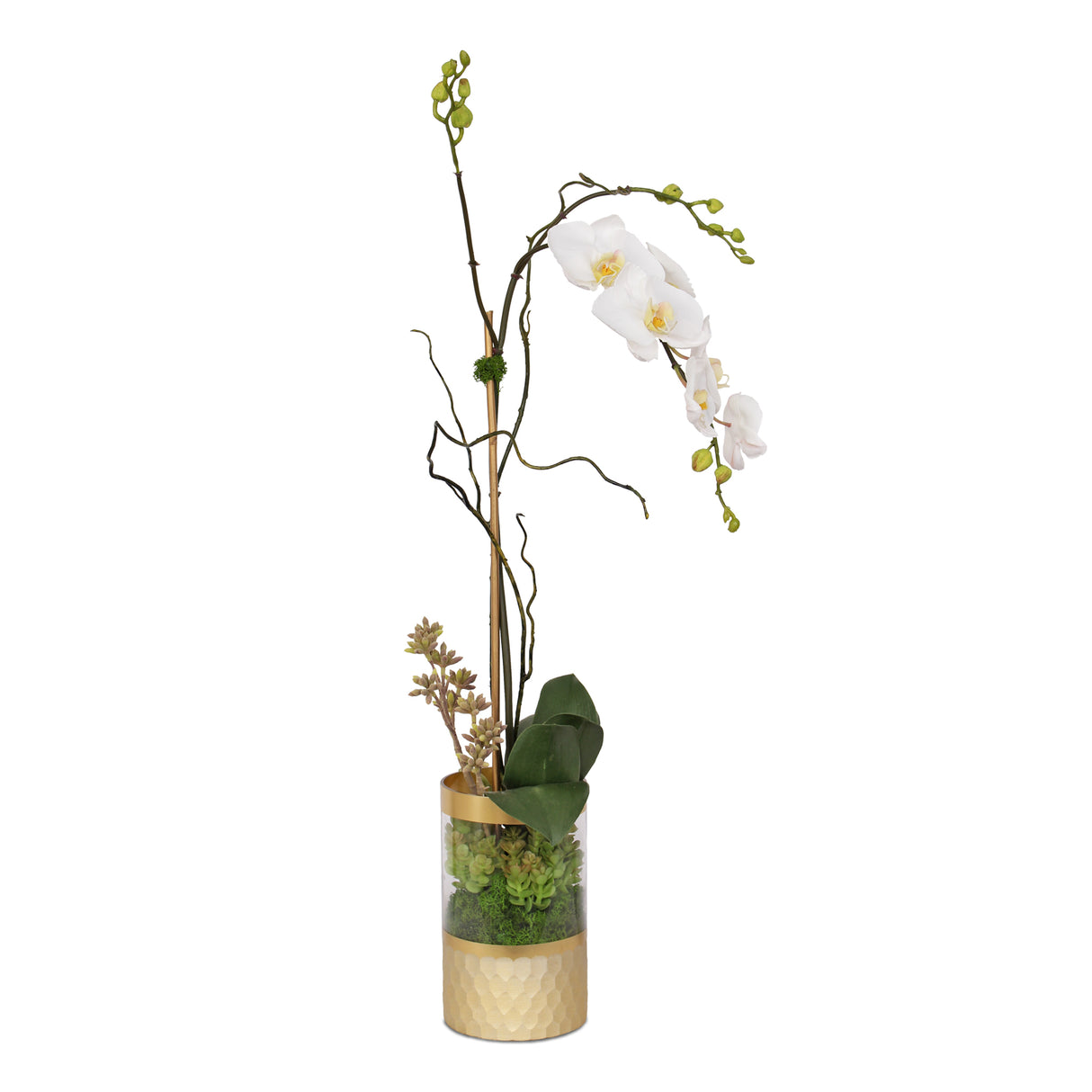 Jenny Silks Cream White Phalaenopsis Orchid Arrangement in Round Gold Cylinder Glass Vase #F-147