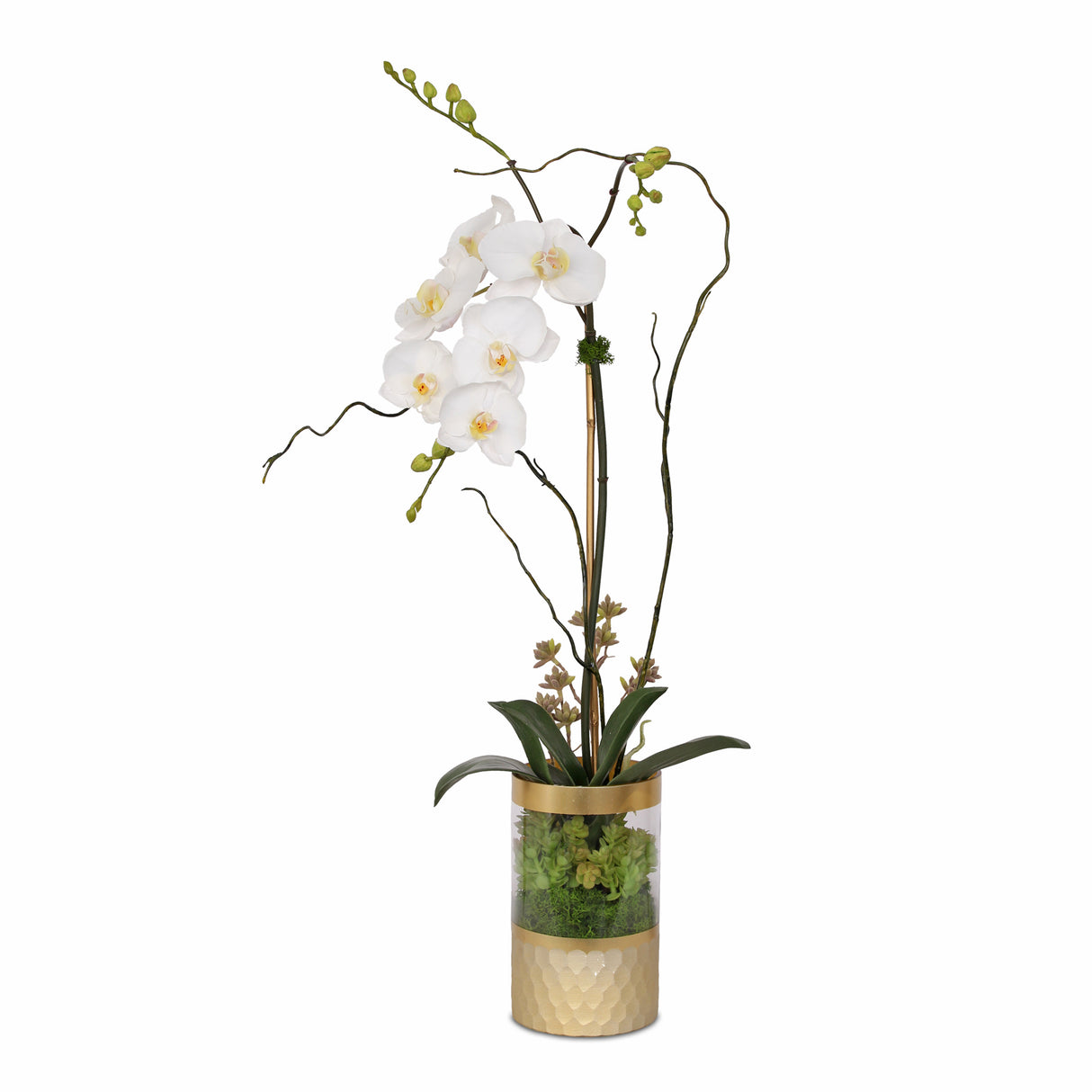 Jenny Silks Cream White Phalaenopsis Orchid Arrangement in Round Gold Cylinder Glass Vase #F-147