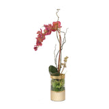Burgundy Phalaenopsis Orchid Curly Willow Arrangement in Round Gold Vase #F-148