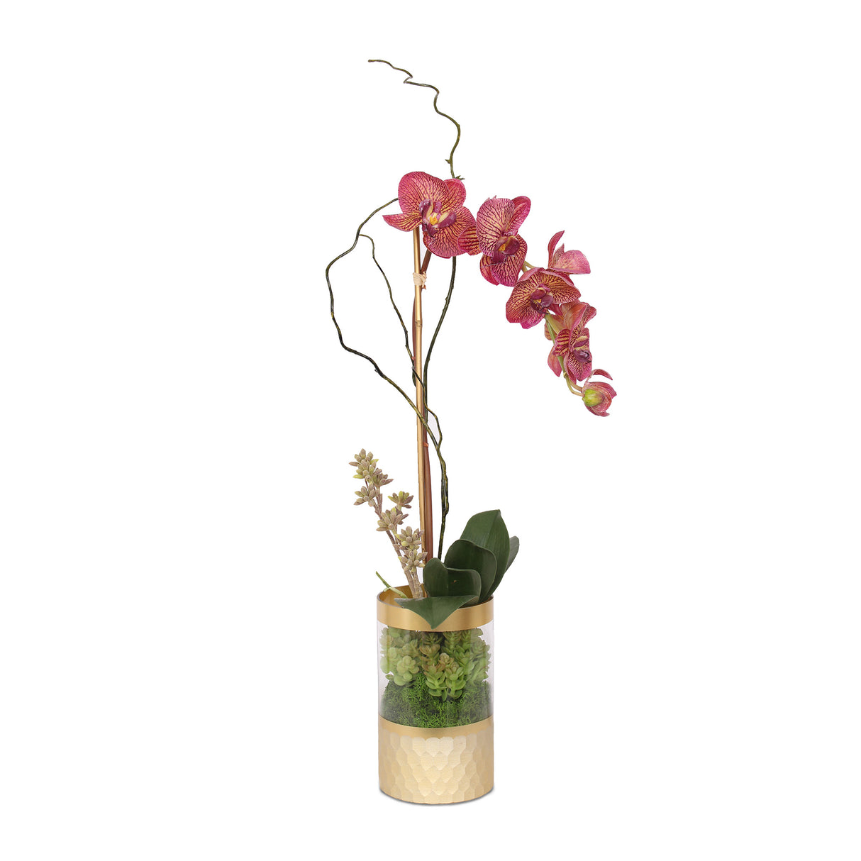 Burgundy Phalaenopsis Orchid Curly Willow Arrangement in Round Gold Vase #F-148