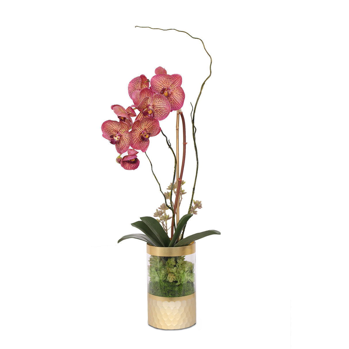 Burgundy Phalaenopsis Orchid Curly Willow Arrangement in Round Gold Vase #F-148