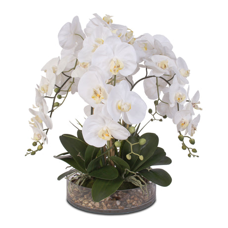 Life Like White Real Touch Phalaenopsis Orchid & Vanilla Grass Bush in a Glass Bowl #F-14C