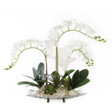 Real Touch White Orchids With Succulents and Natural Pebbles In Aluminum Tray#F-154