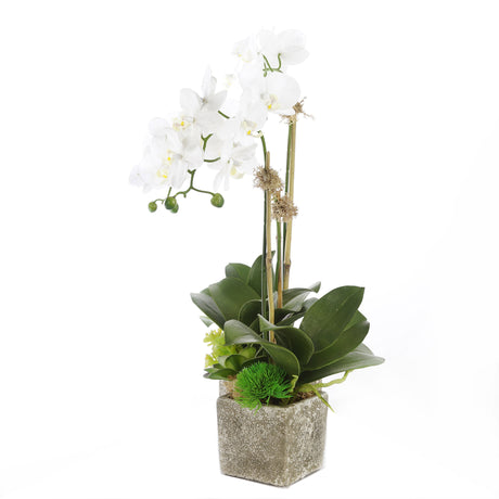 Three Sisters Real Touch Orchid Arrangement #F-155