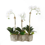 Three Sisters Real Touch Orchid Arrangement #F-155