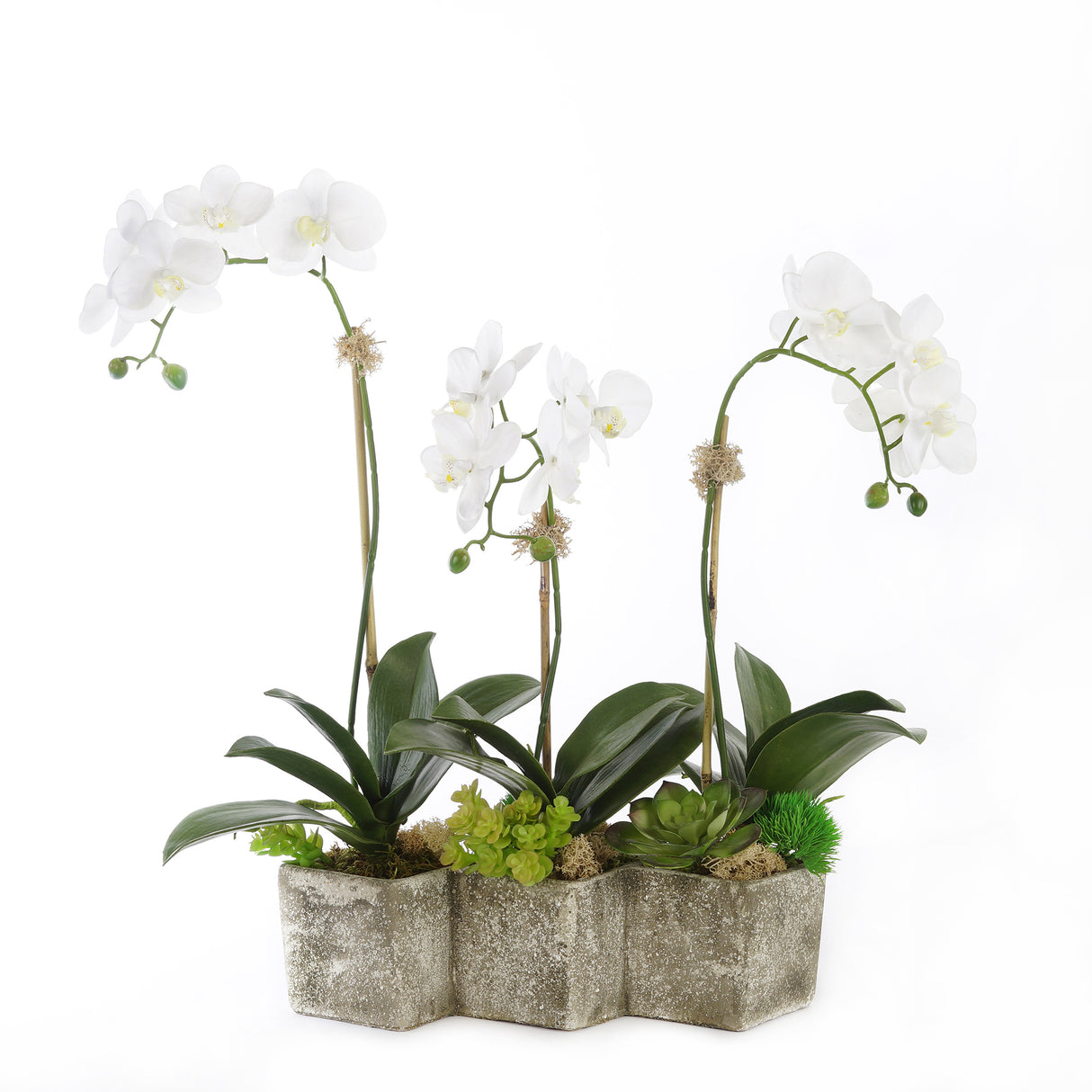 Three Sisters Real Touch Orchid Arrangement #F-155