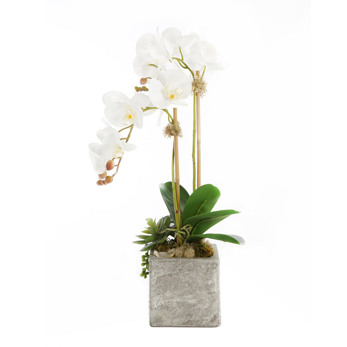 Real Touch White Orchid with Geode Floral Arrangement #F-156