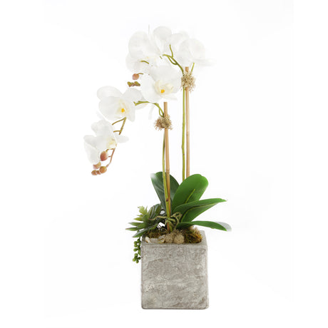 Real Touch White Orchid with Geode Floral Arrangement #F-156