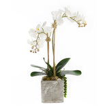 Real Touch White Orchid with Geode Floral Arrangement #F-156