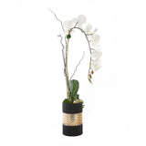 Real Touch Orchid with Geodes Crystal Rocks in Black/Gold Glass Vase#F-157