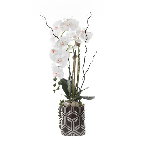 Real Touch Phalenophsis Orchids with Geodes in Decor Box Arrangement #F-158