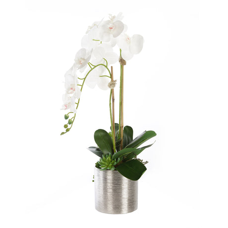 Real Touch White Orchid Flower Arrangement In Silver Ceramic Pot #F-160