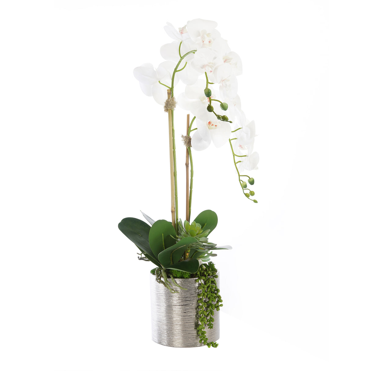 Real Touch White Orchid Flower Arrangement In Silver Ceramic Pot #F-160