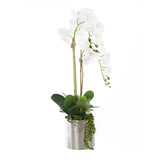 Real Touch White Orchid Flower Arrangement In Silver Ceramic Pot #F-160