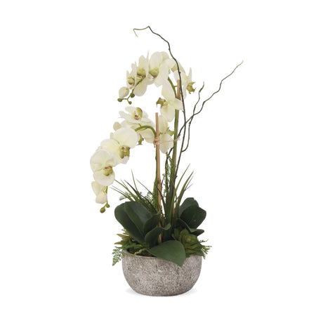 Real Touch Cream Green Orchid With Succulents, Fern, Grass Arrangement in Moss Green Round Pot #F-164