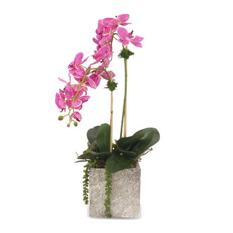 Real Touch Purple White Orchids Arrangement in Square Cement Pot#F-171