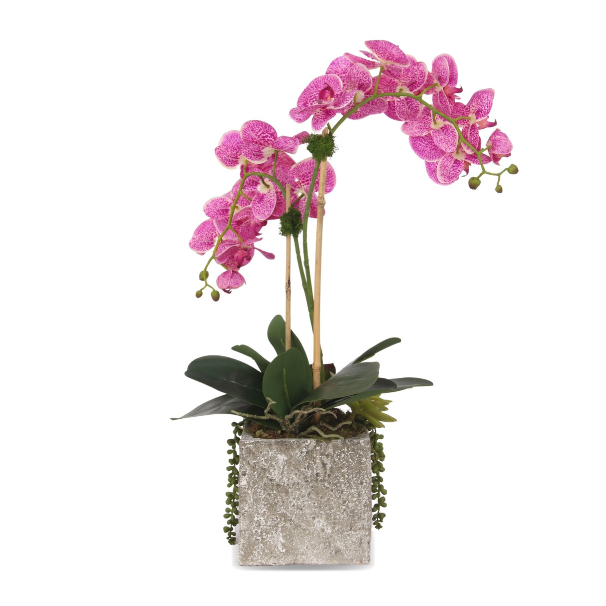 Real Touch Purple White Orchids Arrangement in Square Cement Pot#F-171