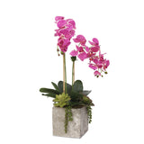 Real Touch Purple White Orchids Arrangement in Square Cement Pot#F-171