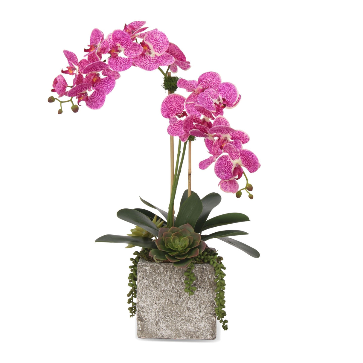 Real Touch Purple White Orchids Arrangement in Square Cement Pot#F-171